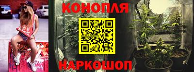 сатива Абакан