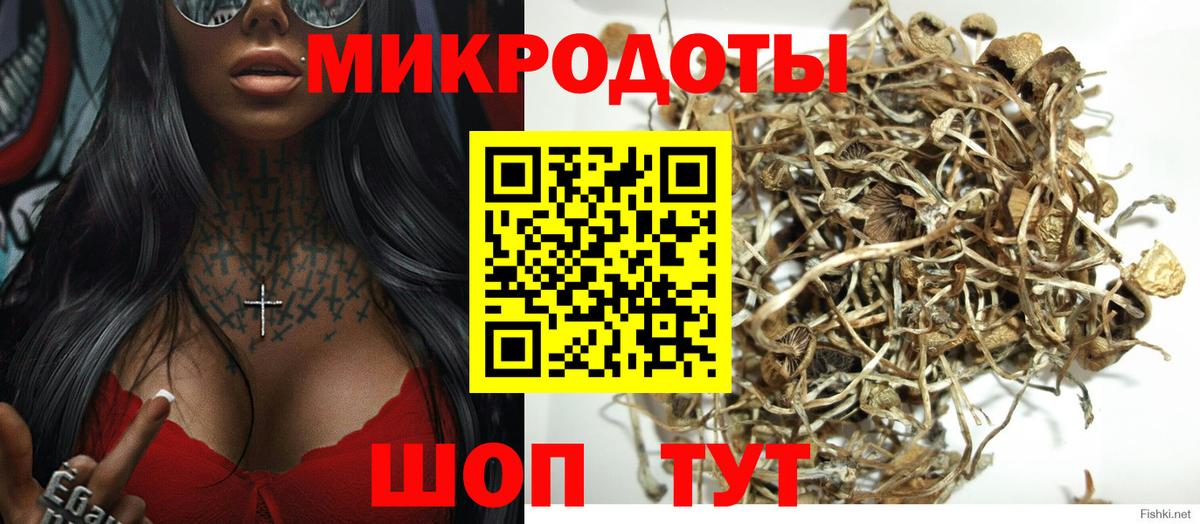 Галлюциногенные грибы ЛСД Апшеронск