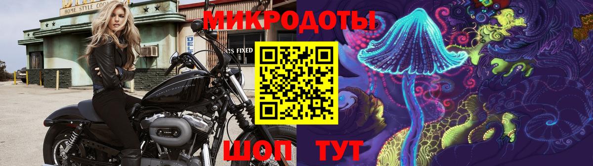 хочу наркоту  Вход с VPN  Апшеронск  Галлюциногенные грибы Magic Shrooms 